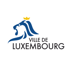 Head of IT - Ville de Luxembourg